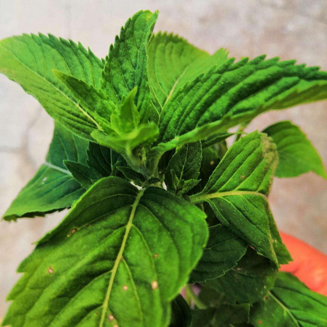 就尽量