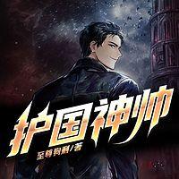 护国神帅